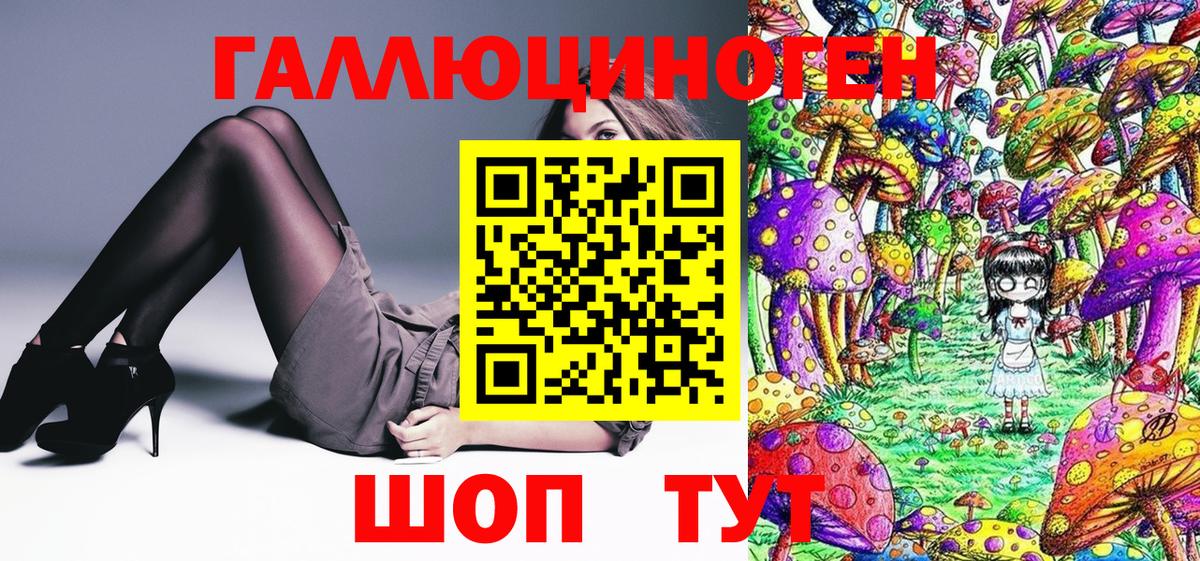 Псилоцибиновые грибы GOLDEN TEACHER Азнакаево