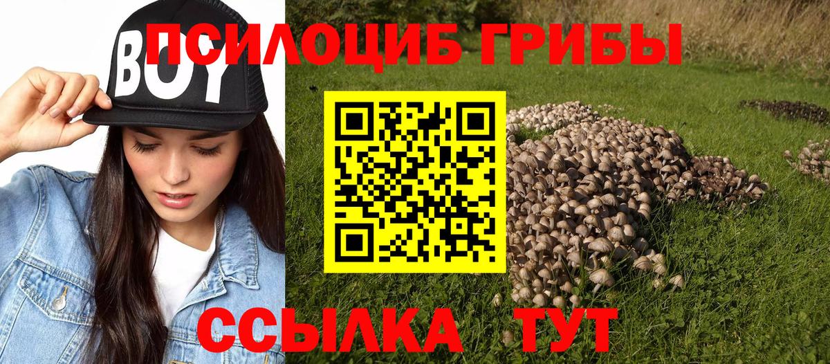Галлюциногенные грибы Psilocybe  Вход с VPN  Азнакаево  Галлюциногенные грибы мухоморы 